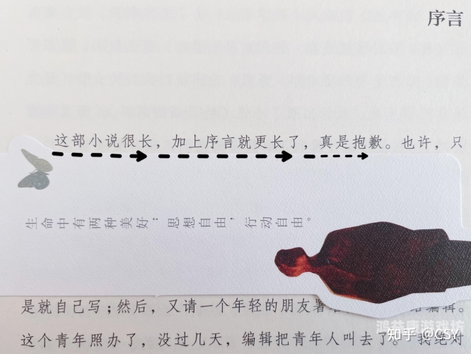 一、引言