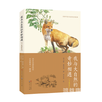 野花高清影视免费观看，探索大自然的魅力与艺术的完美结合