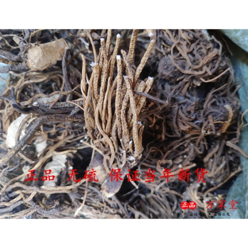 免费无码国产一区探索免费无码国产一区，内容、合法性及用户指南