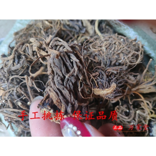 免费无码国产一区探索免费无码国产一区，内容、合法性及用户指南