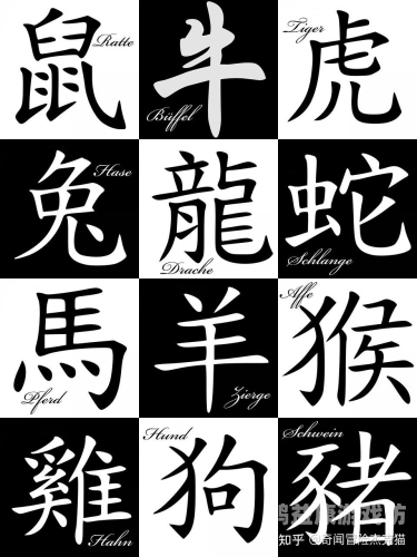 天天躁夜夜躁天干天干20202020年，天干之年，焦虑与躁动的社会情绪剖析