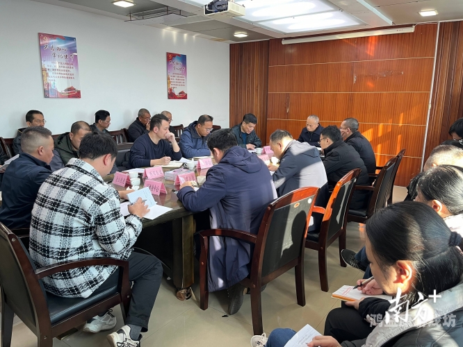 国产一区二区三国产一区二区新闻，聚焦国产经济与产业发展