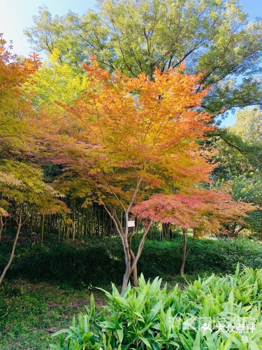 草草一级一区二区无码影院草草一级一区二区，无码影院揭秘