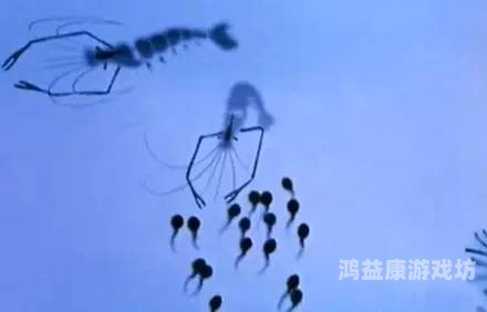 国产精品蝌蚪网国产精品蝌蚪网，探索科技与文化融合的新闻资讯