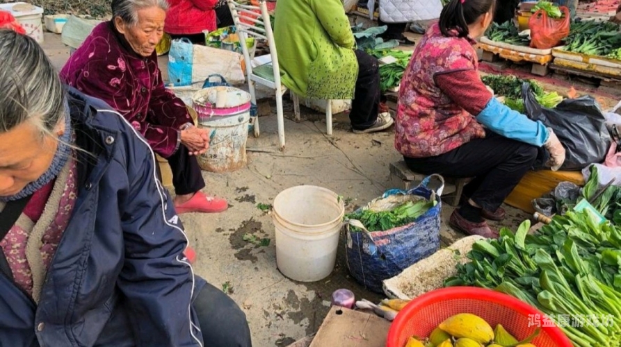 老妇肥老妇肥，美食背后的社会现象