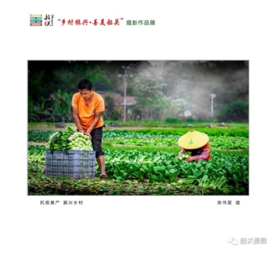 国产农村一级特黄妇女A片，展现乡村女性的独特魅力