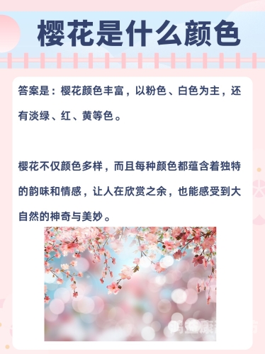 色综合，新闻资讯网站深度解析综合色是什么颜色