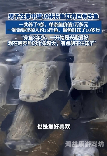 国产精品合集，BT伙伴带你探索最新好物bt伙计九千克