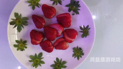 草莓视频无码ā片在线观看，探索视频内容的无限可能草莓视频无马