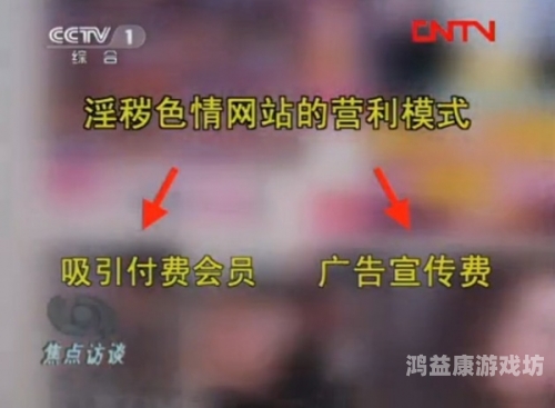 百度搜索收录，久久成人综合亚洲精品内容