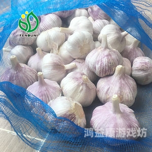 chineSe4P真实交换，探索数字时代的交易新模式