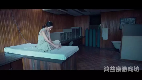 欧美成人精品一级A片免费播放欧美成人精品一级A片免费播放，探索网络视频的多元魅力
