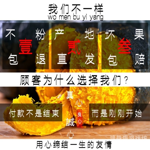 国产精品无码久久AV嫩草软件介绍