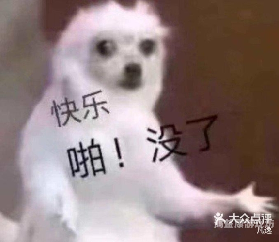 天天综合，干婷婷新闻深度解析天天综合r凡