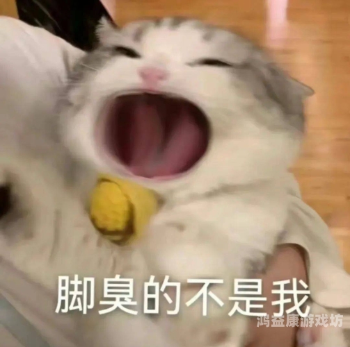 涩涩高清无乱码在线观看微信视频涩涩高清无乱码在线观看微信视频，探索神秘视频世界
