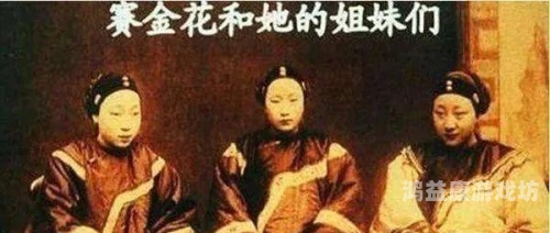 夜夜爽妓女8888福利免费看夜夜爽福利，8888妓女免费看角色设定与文章内容