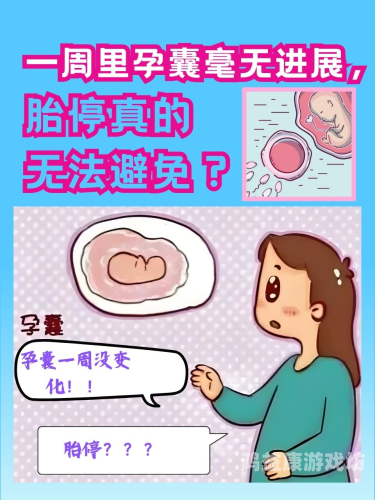xxxxxpregnant.....怀孕新闻，孕育新生命的温馨与责任