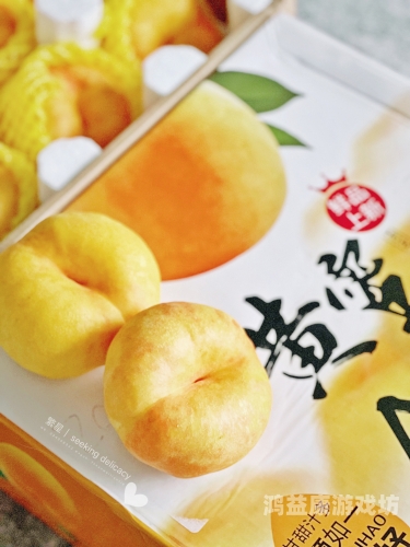 久久91精品系列，水蜜桃的甜蜜之旅