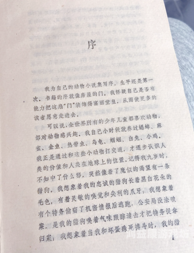 成人Aⅴ小说成人AⅤ小说，探索网络文学的新领域