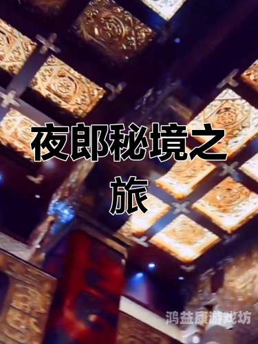 深夜国产日本视频在线观看浏览深夜国产日本视频在线观看，探索神秘文化世界