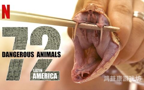 探索神秘的蛇类交配视频，动物园里的另类互动snakes(蛇) are (dangerous) animals