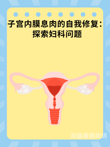 久久久www自慰喷水网站，探索健康与隐私的边界