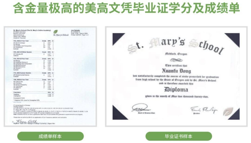 高hsm主人，新闻资讯网站揭秘角色设定