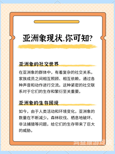 成人资源免费观看，探索在线观看的神秘世界