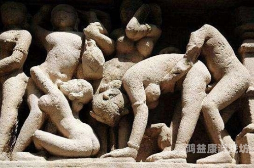 女人高潮精品毛片，探索女性性高潮的神秘世界