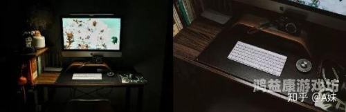 猫咪AV成人永久网站网址猫咪AV成人永久网站，揭秘与安全访问指南
