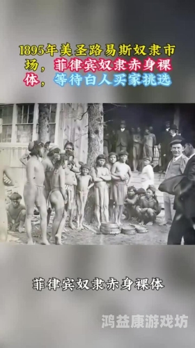 国产永久免费裸体美女视频，揭秘网络热潮背后的真相4399在线观看免费高清电视剧