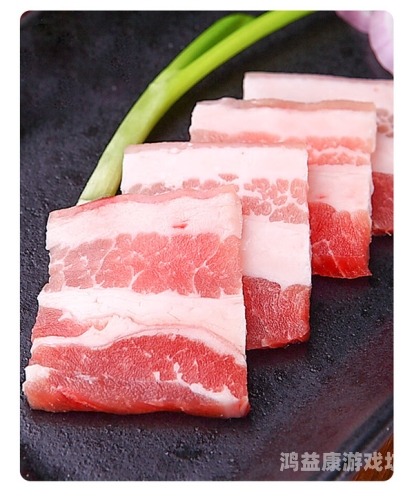 国产一级肉片免费无码软件国产一级肉片免费无码软件推广，安全、便捷的肉片制作新选择
