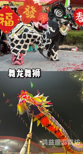 chinese色系91大东北chinese色系91大东北，探寻地域特色与文化魅力