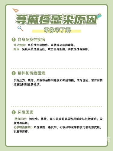 亚洲性刺激综合网，探索性刺激的多元世界亚洲综合征