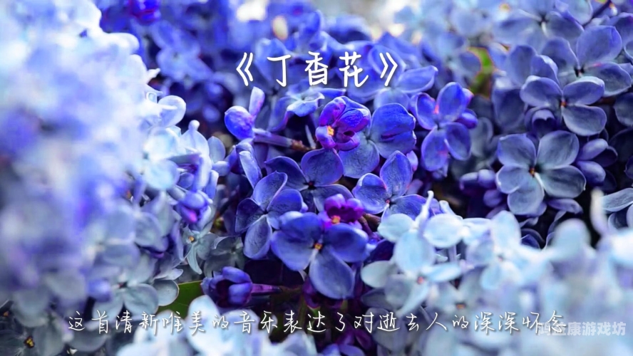 人妻夜夜爽天天爽三区丁香花人妻夜夜爽天天爽，三区丁香花背后的故事与新闻