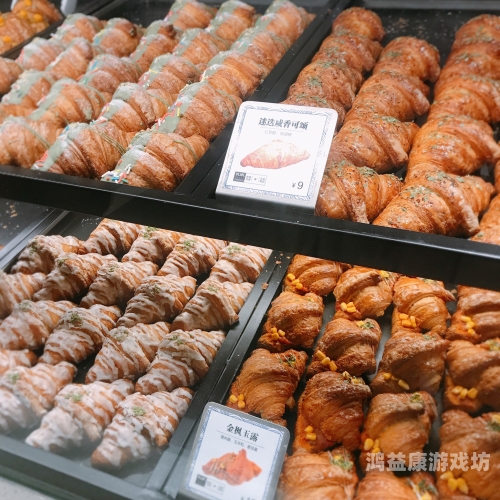 色窝窝影视区一探，神秘影视新天地