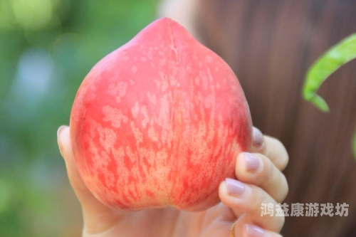 午夜香蕉成视频蜜桃午夜香蕉成视频新宠，蜜桃般的梦幻体验