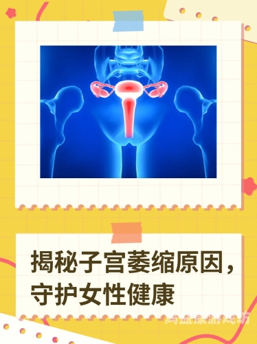 孕妇新闻，全面揭秘孕期生活与性健康