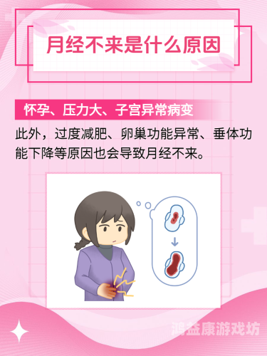 孕妇新闻，全面揭秘孕期生活与性健康