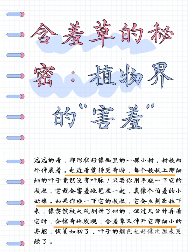 fi11.cnn新闻资讯，神秘植物fi11.cnn含羞草
