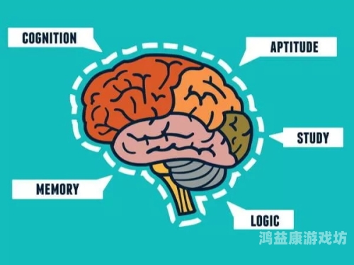 在线成人A片热潮，揭秘当下热门内容与观众心理