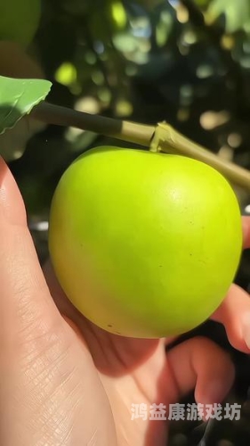 国产成人精品，亚洲精品青苹果的独特魅力