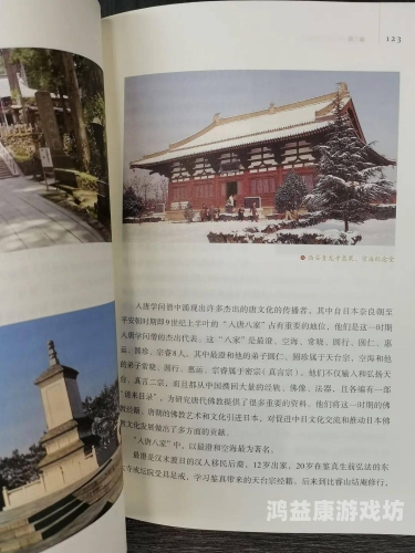 亚洲123区亚洲123区，探索多元文化交汇的新篇章