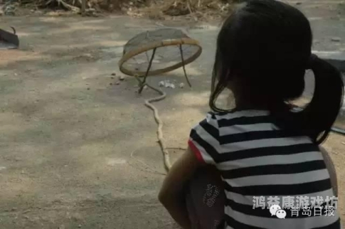 成人无码在线，探索隐秘的成人世界成人无码 在线观看 一卡二卡