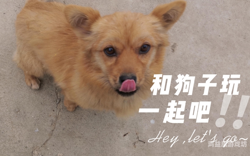 人狥杂交一区欧美二区人狥杂交，欧美区新闻资讯