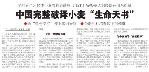 haodiaoyin，新闻资讯网站资深编辑的角色设定