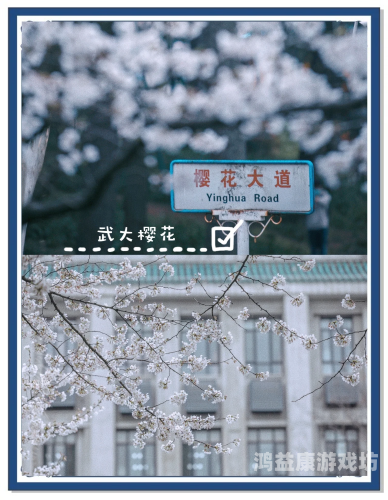 久久国产成人午夜AV影院樱花国产成人午夜AV影片盛宴，久久樱花之夜
