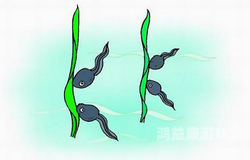 91自拍蝌蚪百度搜索热门文章，91自拍蝌蚪