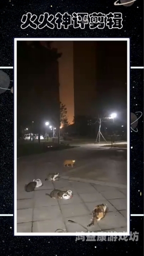 凌晨三点电影高清电影网凌晨三点电影高清电影网深度评测，夜猫子的福音，海量影视资源的秘境