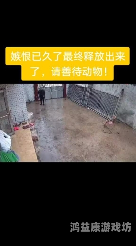 老牛精品久久久久久中文探索老牛精品，久久久久久中文的奥秘与魅力
